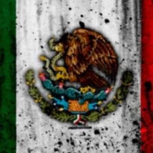 Meet your Posher, Alvin